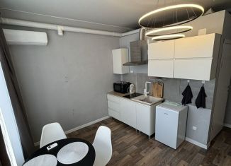 Сдаю в аренду квартиру студию, 31 м2, Саратов, улица имени А.Н. Радищева, 25