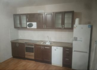 Сдам в аренду квартиру студию, 29 м2, посёлок Парголово, Заречная улица, 33