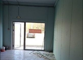 Торговая площадь в аренду, 20 м2, Ленинградская область, Приозерское шоссе, 12В