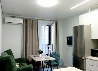 Однокомнатная квартира на продажу, 51.6 м2, Санкт-Петербург, улица Фёдора Котанова, 5к1, ЖК Звёзды Столиц