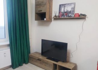 Аренда квартиры студии, 28 м2, Ростов-на-Дону, улица Ткачёва, 40с2