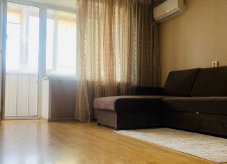 Сдача в аренду 1-комнатной квартиры, 35.5 м2, Чайковский, улица Декабристов, 5/5