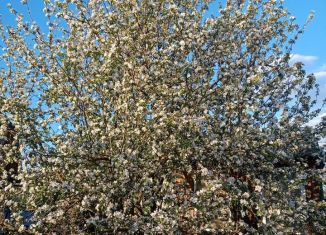 Продам земельный участок, 31 сот., Нижний Новгород, Сергачская улица, 9