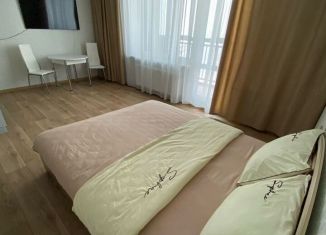 Сдаю в аренду квартиру студию, 35 м2, Татарстан, Набережночелнинский проспект, 1