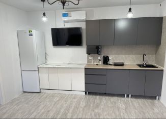 Сдача в аренду дома, 50 м2, Московская область, Раздольная улица, 1338