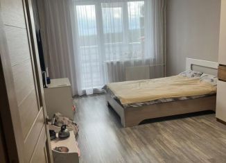 Продается однокомнатная квартира, 47.6 м2, Пермь, Пушкарская улица, 142