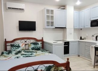 Сдам квартиру студию, 29 м2, Ростов-на-Дону, Стабильная улица