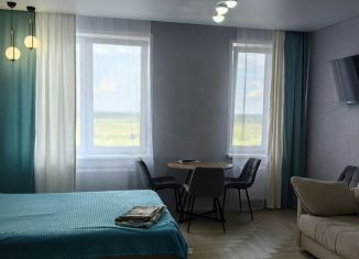 Сдам в аренду квартиру студию, 30 м2, Тюмень, Краснооктябрьская улица, 6