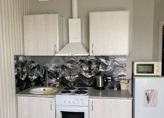 Сдача в аренду квартиры студии, 25 м2, Воронеж, набережная Максима Горького, 49Б