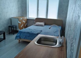 Сдается квартира студия, 20 м2, Татарстан, улица Рихарда Зорге, 2