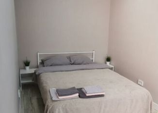 Сдаю в аренду однокомнатную квартиру, 44 м2, Шадринск, улица Карла Либкнехта, 10