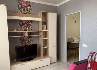 Аренда квартиры студии, 26 м2, Ростов-на-Дону, проспект Маршала Жукова