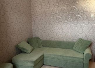 Аренда 2-комнатной квартиры, 60 м2, Москва, Шелепихинская набережная, 10, ЦАО