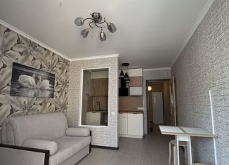 Квартира на продажу студия, 24.3 м2, посёлок Шушары, Переведенская улица, 6Б