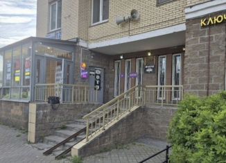 Сдам в аренду помещение свободного назначения, 80 м2, Санкт-Петербург, проспект Художников, 12