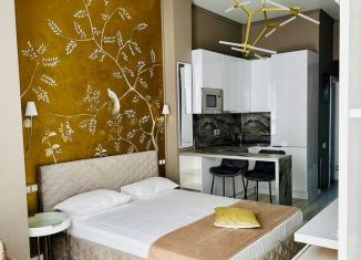 Сдача в аренду квартиры студии, 32 м2, Сочи, улица Роз, 36, микрорайон Центральный