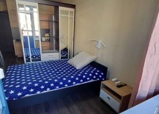 Сдам квартиру студию, 25 м2, Санкт-Петербург, проспект Ветеранов, 175к4, метро Юго-Западная