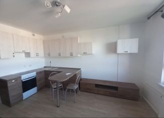 Продажа квартиры студии, 28 м2, поселок Верхнетемерницкий, улица Венеры, 23/2