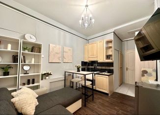 Сдается в аренду квартира студия, 20 м2, Санкт-Петербург, набережная реки Фонтанки, 64