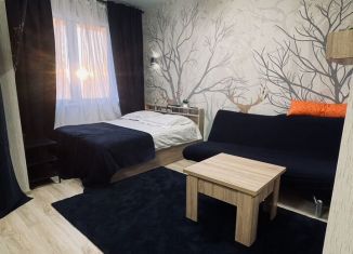 Аренда квартиры студии, 34 м2, Пермь, улица Революции, 48В, Свердловский район