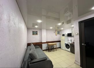 Продам 1-комнатную квартиру, 17.6 м2, Амурская область, Красноармейская улица, 74