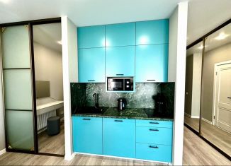 Сдается в аренду 1-ком. квартира, 29 м2, Сочи, улица Искры, 88к2