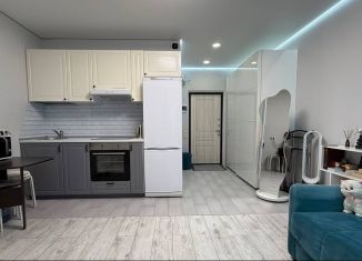 Продажа квартиры студии, 26 м2, Люберцы, улица Юности, 11