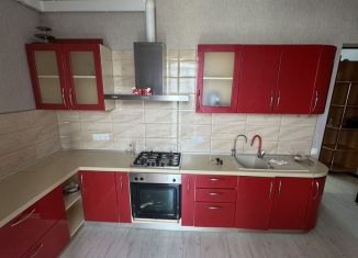 Сдам 1-ком. квартиру, 53 м2, Краснодар, Черкасская улица, микрорайон Восточно-Кругликовский