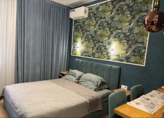 Квартира в аренду студия, 18 м2, Саратов, Мирный переулок, 6