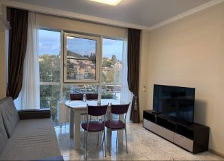 Сдам однокомнатную квартиру, 50 м2, Сочи, Крымская улица, 89, микрорайон Мамайка