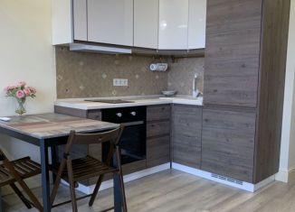 Аренда квартиры студии, 33 м2, Сочи, Курортный проспект, 96Г