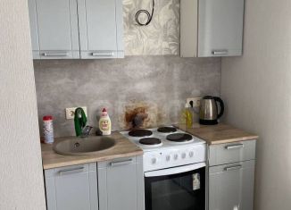 Однокомнатная квартира в аренду, 34 м2, Воронеж, набережная Максима Горького, 49Б