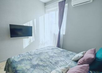 Однокомнатная квартира в аренду, 29.9 м2, Сочи, Красная улица, 34А, микрорайон Центральный