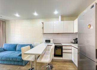 Аренда квартиры студии, 28 м2, Сочи, переулок Горького, 24, микрорайон Центральный