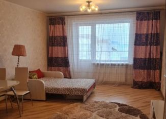 Сдается квартира студия, 38.4 м2, Новосибирск, улица Татьяны Снежиной, 45/3, Октябрьский район