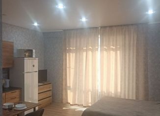 Сдача в аренду квартиры студии, 30 м2, Старый Оскол, микрорайон Садовые Кварталы, 2