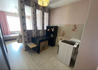 Продается квартира студия, 30 м2, Санкт-Петербург, Новосельковская улица, 3, Новосельковская улица