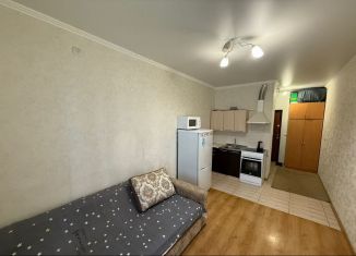 Продам квартиру студию, 23 м2, Краснодар, Душистая улица, 60к2, микрорайон Молодёжный