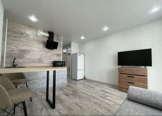 Сдаю квартиру студию, 27 м2, Ижевск, улица 40 лет Победы, 69