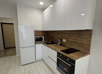 Сдается в аренду квартира студия, 32 м2, Ижевск, улица Холмогорова, 105