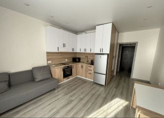 Квартира в аренду студия, 27 м2, Республика Башкортостан, проспект Дружбы Народов, 57/1