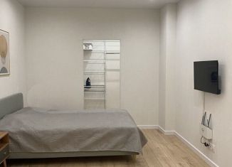 Сдам 1-ком. квартиру, 42.2 м2, Санкт-Петербург, Лиственная улица, 18к1