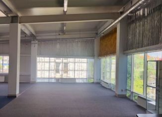 Сдача в аренду помещения свободного назначения, 200 м2, Курган, улица Радионова, 19