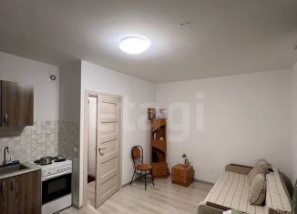 Квартира на продажу студия, 24.4 м2, Санкт-Петербург, ЖК Солнечный Город, улица Генерала Кравченко, 8