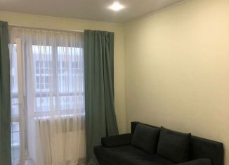 Продажа квартиры студии, 27 м2, деревня Куюки, ЖК Новые Куюки, Молодёжная улица, 29