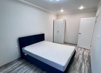 Сдается 2-комнатная квартира, 50 м2, Татарстан, улица Ирека Миннахметова, 1