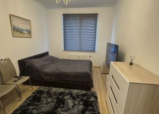 Продается 1-ком. квартира, 28.5 м2, Санкт-Петербург, Плесецкая улица, 14