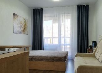 Квартира в аренду студия, 25 м2, Санкт-Петербург, Железнодорожный проспект, 14к3