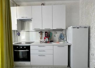 Однокомнатная квартира в аренду, 40 м2, Татарстан, улица Зур Урам, 1Кк3