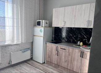 Сдача в аренду 1-комнатной квартиры, 38 м2, Ростов-на-Дону, проспект Маршала Жукова, 30/95